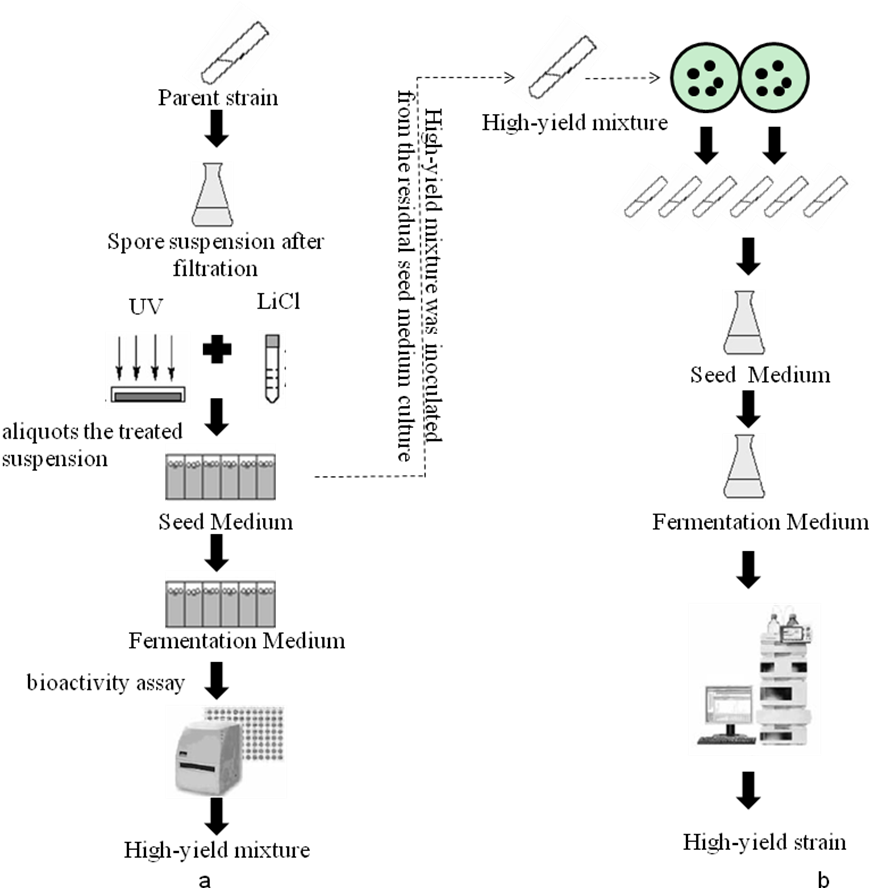 菌種高通量篩選團(tuán)隊(duì)